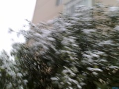 http://www.51wendang.com/pic/719ef24d071bc09e841cce58/1-810-jpg_6-1080-0-0-1080.jpg_